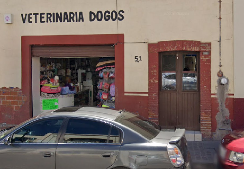 Foto de Veterinarios en Friendog