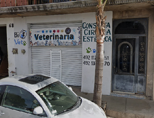 Foto de Veterinarios en Friendog