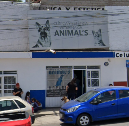 Foto de Veterinarios en Friendog