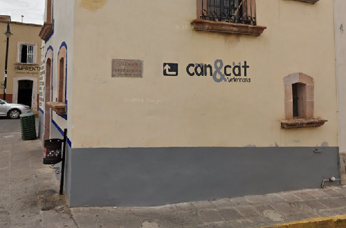 Foto de Veterinarios en Friendog
