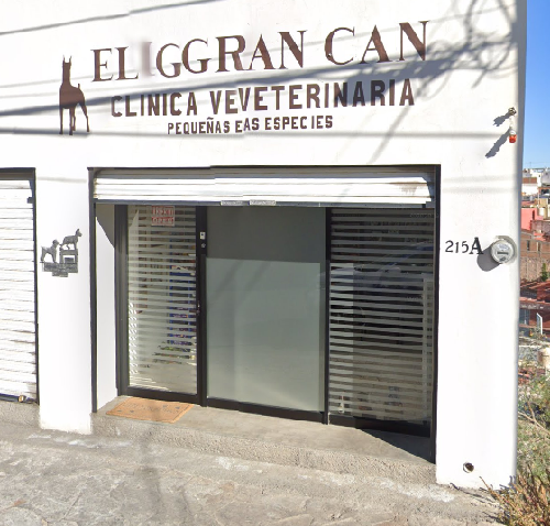 Foto de Veterinarios en Friendog