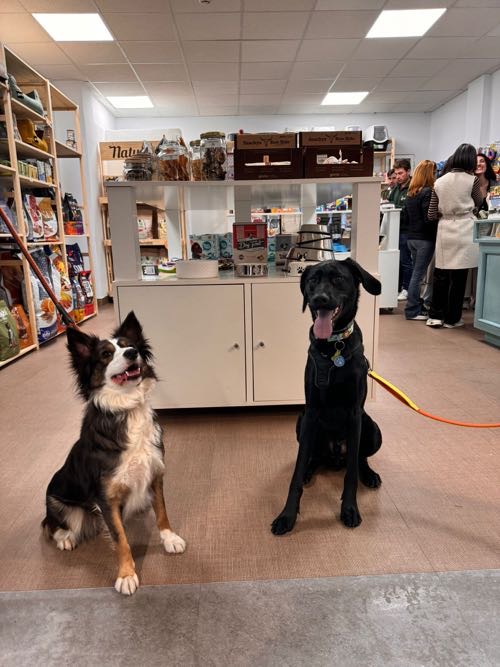 Foto de Tienda de perros en Friendog