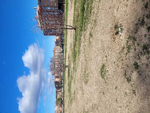 Foto de Parques en Friendog