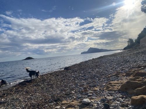 Foto de Playas en Friendog