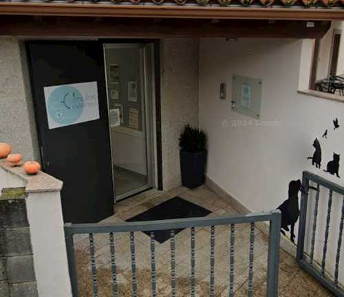 Foto de Veterinarios en Friendog