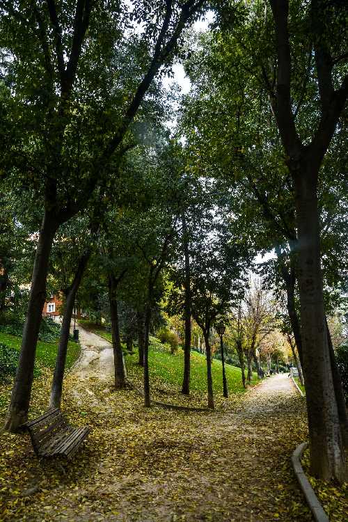 Foto de Parques en Friendog
