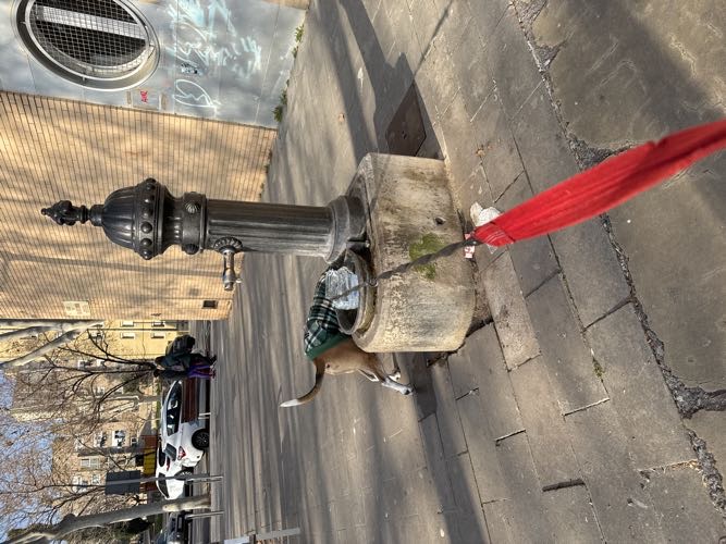 Foto de Fuente de agua en Friendog