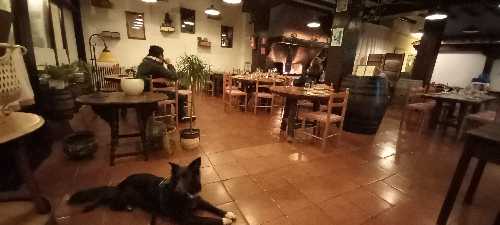 Foto de Restaurantes en Friendog