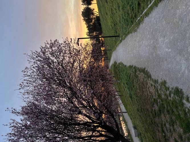 Foto de Parques en Friendog