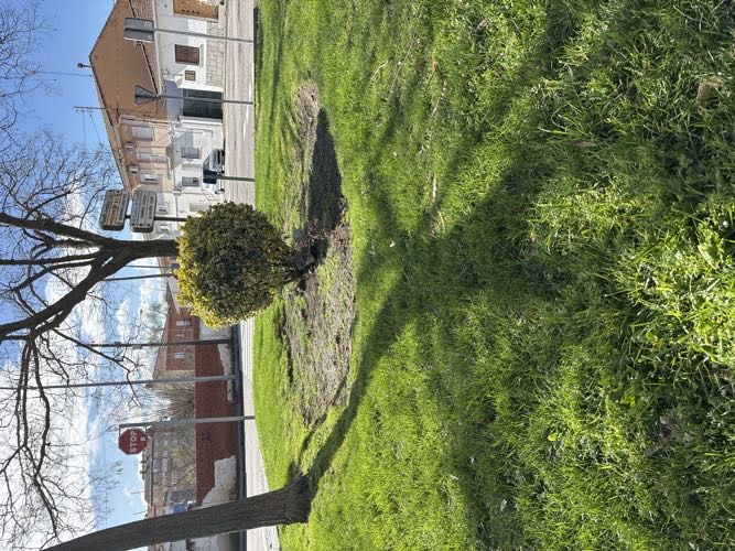 Foto de Parques en Friendog