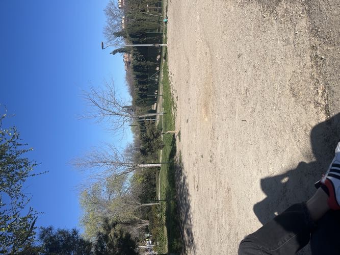 Foto de Pipican en Friendog