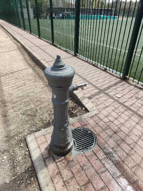 Foto de Fuente de agua en Friendog