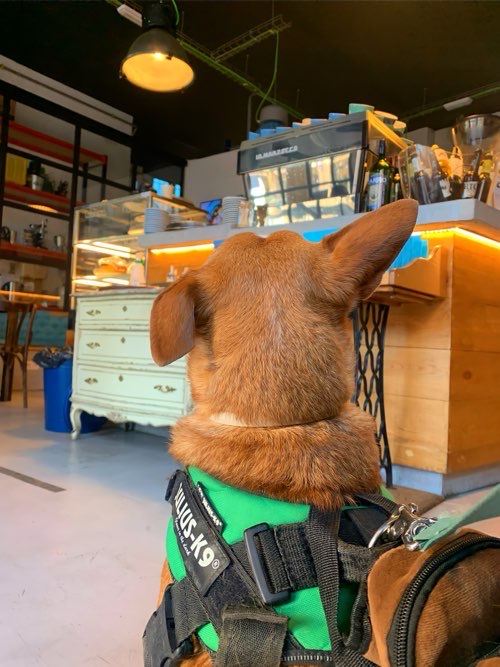 Foto de Cafetería en Friendog
