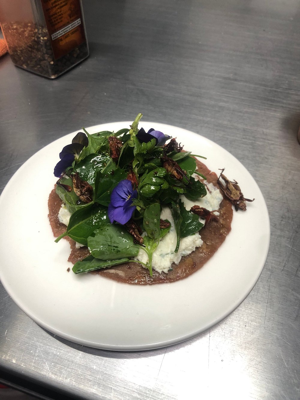 Foto de Restaurantes en Friendog