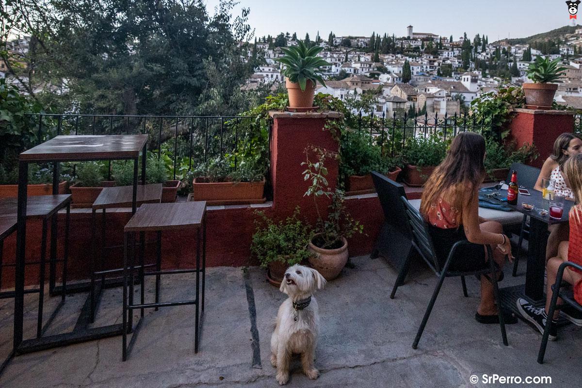 Foto de Restaurantes en Friendog