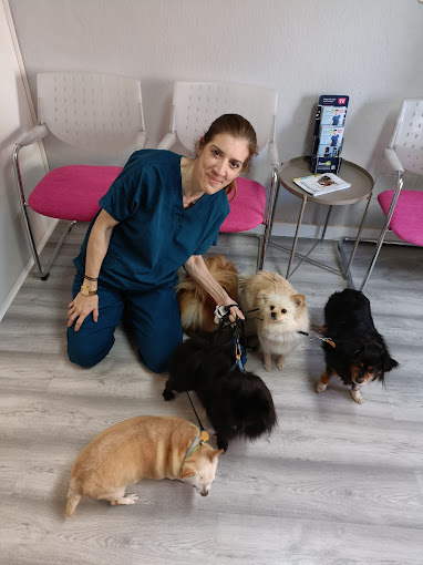 Foto de Veterinarios en Friendog