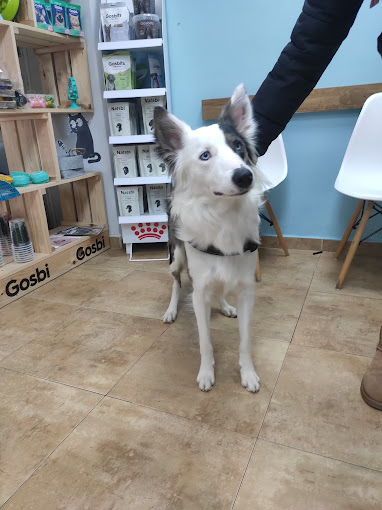 Foto de Veterinarios en Friendog
