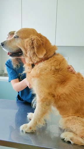Foto de Veterinarios en Friendog
