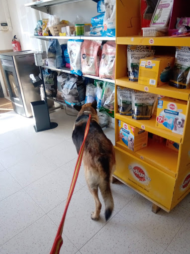 Foto de Veterinarios en Friendog