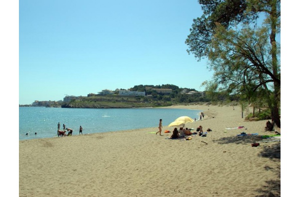 Foto de Playas en Friendog