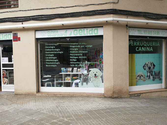 Foto de Veterinarios en Friendog