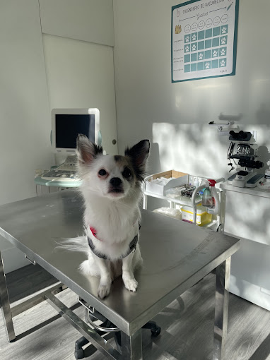 Foto de Veterinarios en Friendog