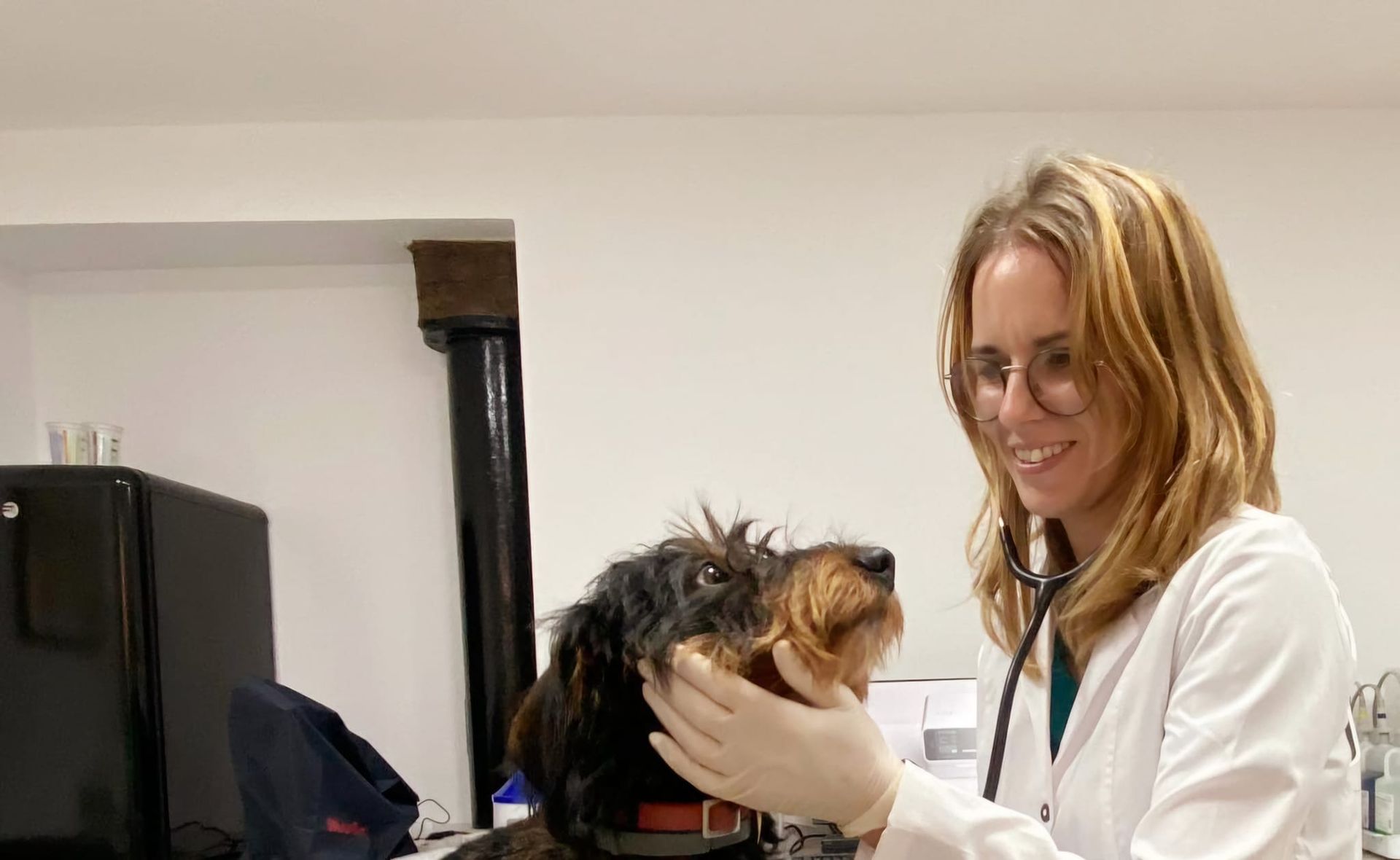 Foto de Veterinarios en Friendog
