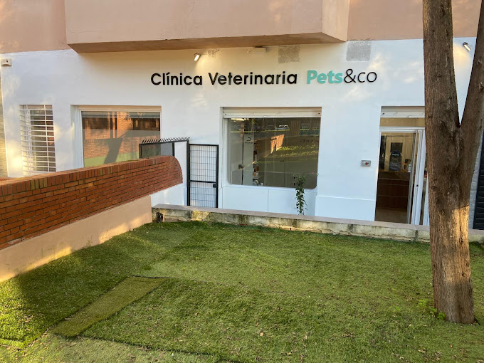 Foto de Veterinarios en Friendog