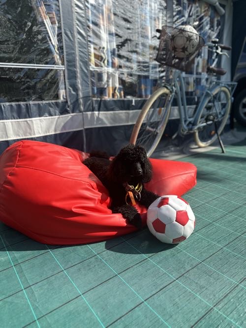 Foto de Camping en Friendog