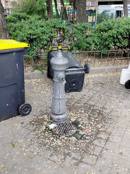 Foto de Fuente de agua en Friendog