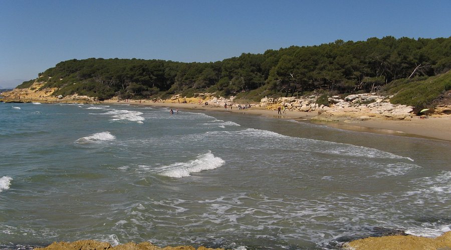Foto de Playas en Friendog