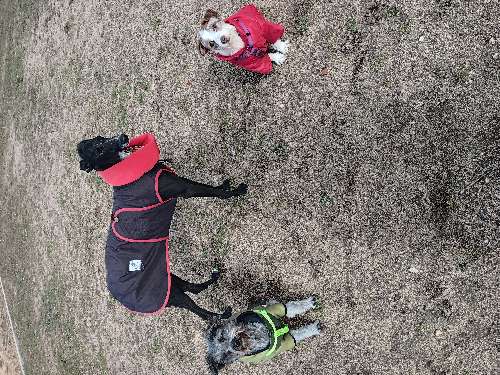 Foto de Parques en Friendog