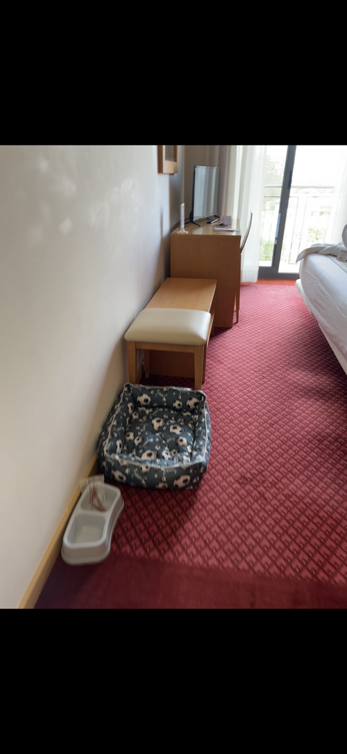 Foto de Hoteles dog-friendly en Friendog