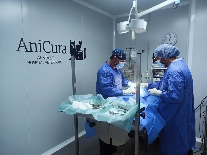 Foto de Veterinarios en Friendog
