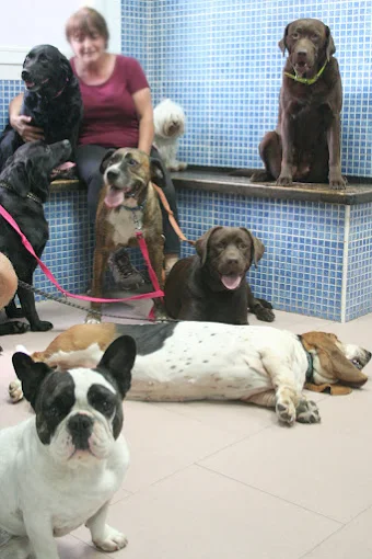 Foto de Veterinarios en Friendog