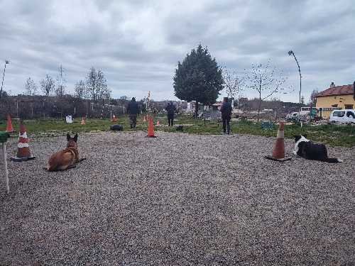 Foto de Guardería canina en Friendog