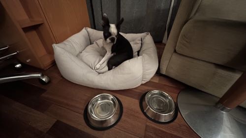 Foto de Hoteles dog-friendly en Friendog