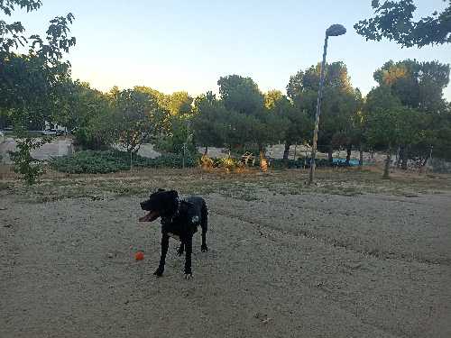 Foto de Parques en Friendog