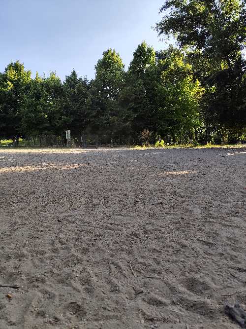 Foto de Pipican en Friendog