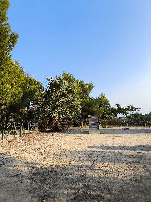 Foto de Pipican en Friendog