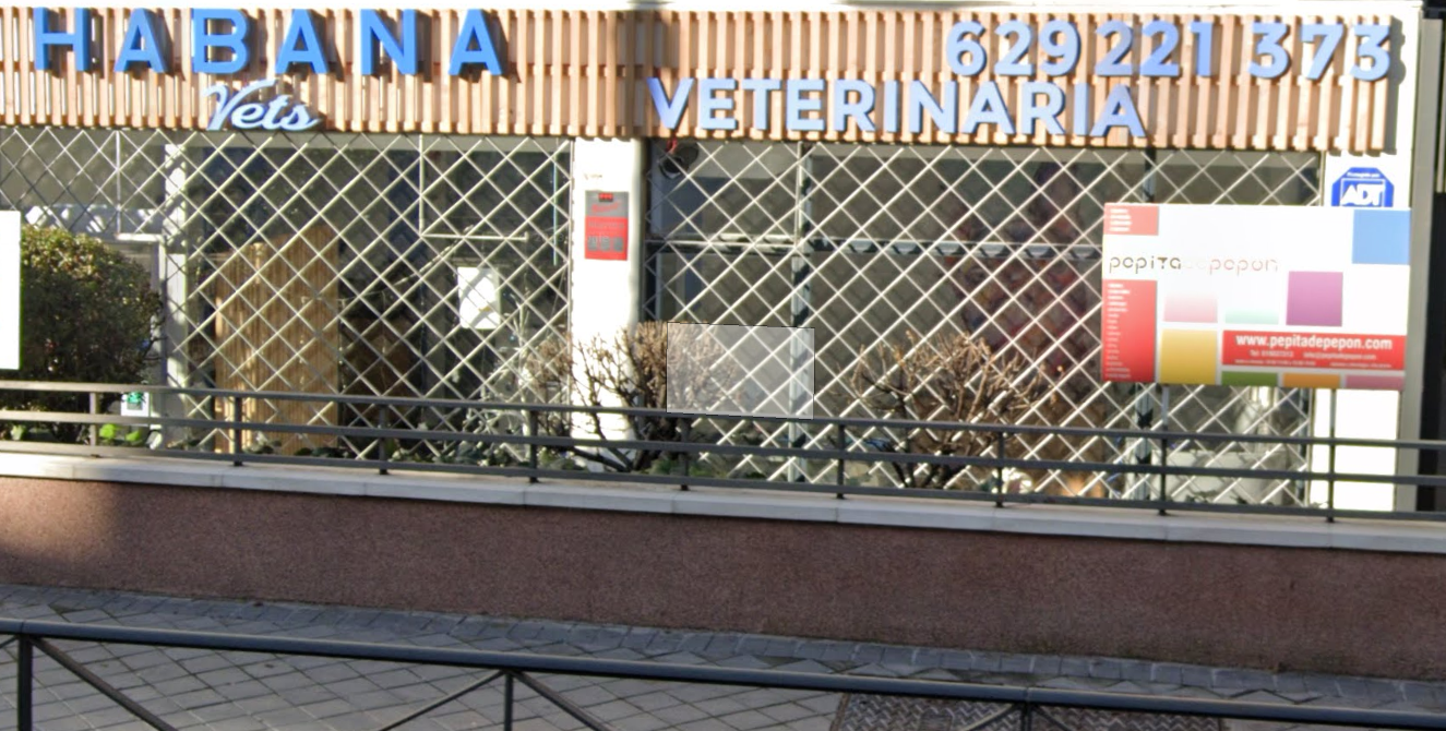 Foto de Veterinarios en Friendog