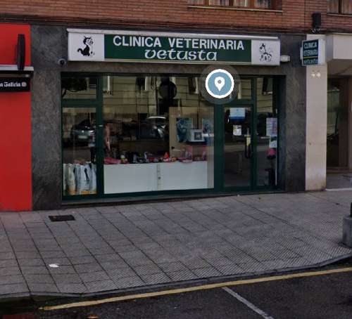 Foto de Veterinarios en Friendog